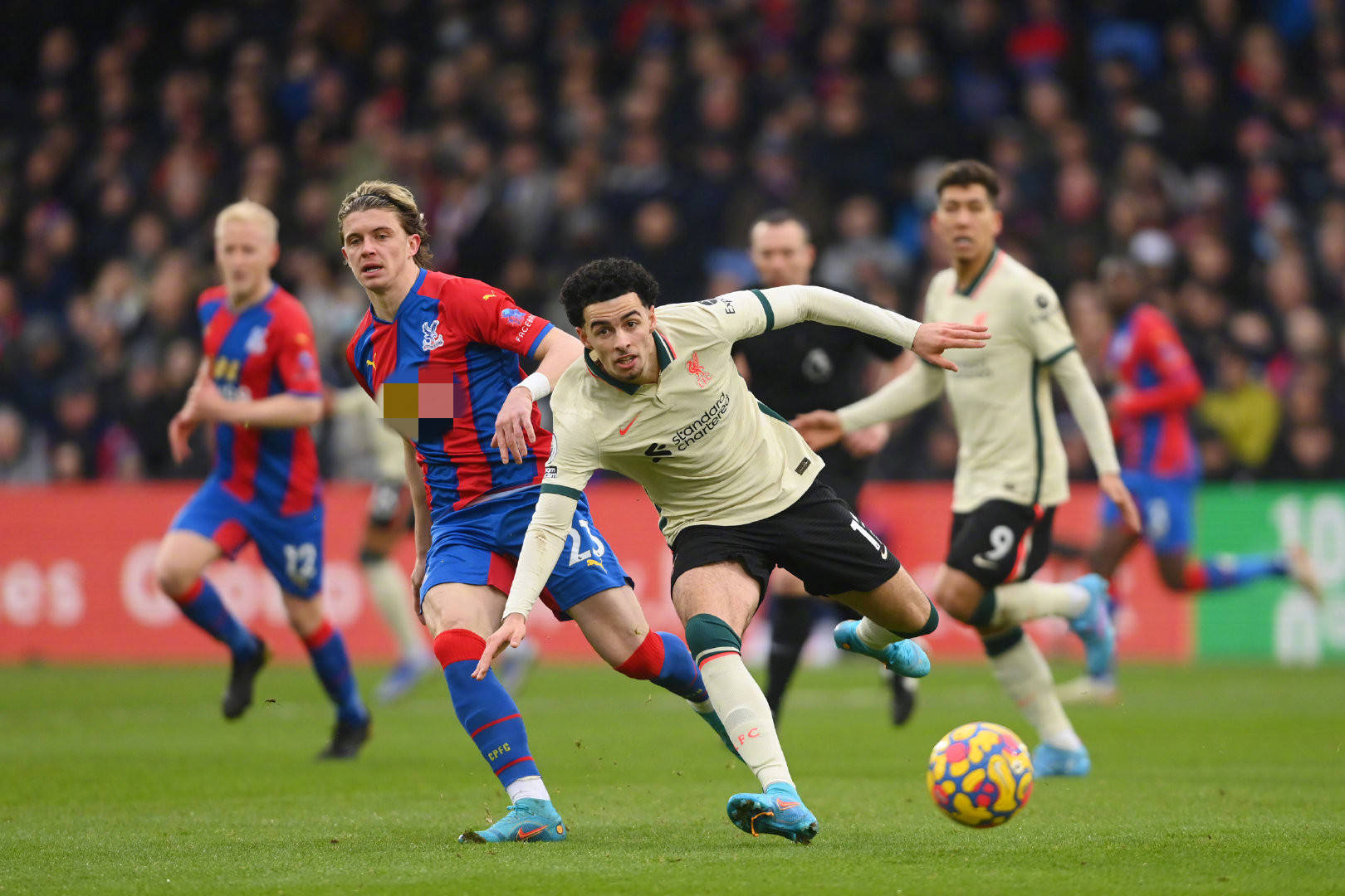 能在边缘徘 能在边缘徘